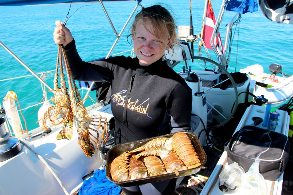 181063 4730856912495 1745144689 n