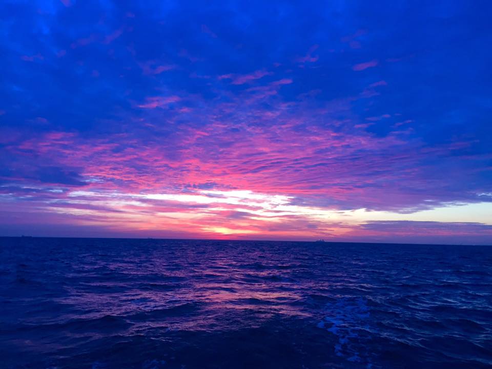 20476099 1925709644365624 1423808469639852481 n 1