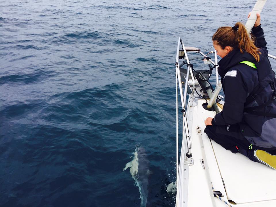 20525619 1926058207664101 6746897926060190195 n