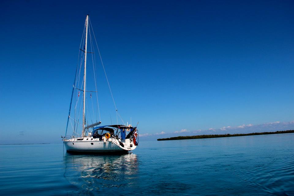 602233 4730852752391 769578405 n